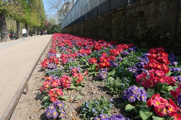 Jardin du Luxembourg