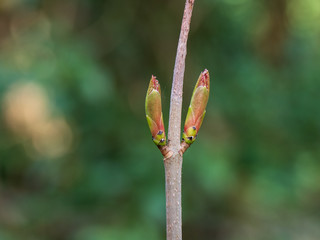 OLYMPUS DIGITAL CAMERA -NEW SHOOTS