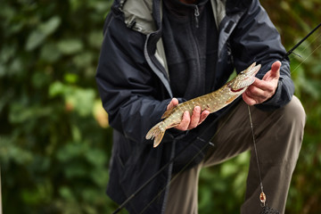 Fisherman caught a big salmon. Fishing 