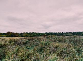 Obraz premium Fields