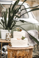 Elegant white Two Tier wedding cake with flowers and succulents on the wooden log on the background of decorations in rustic style