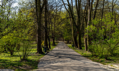 Fototapeta na wymiar Bednarski Park in Krakow