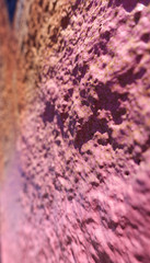 Concrete wall painted in red. Abstract background. Selective focus.