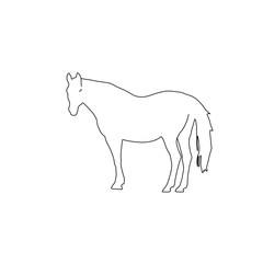 vector illustration logo line horse