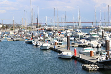 Boats in the marina on a sunny day