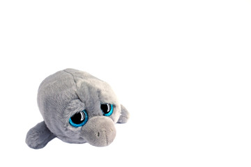 Grey toy soft dolphin with big black and blue eyes with reflection 