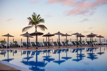 reflection of palm trees and umberllas in a swimming pool 