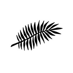 Vector flat black hand drawn palm leaf icon logo isolated on white background 