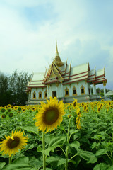 Buddha Tempel 