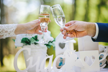 The bride and groom holds a glass of champagne and stand on nature at the wedding ceremony. Bride and groom toasting champagne glasses. Close up.