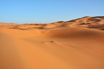 Obraz na płótnie Canvas pustynia, Sahara Zachodnia, Maroko