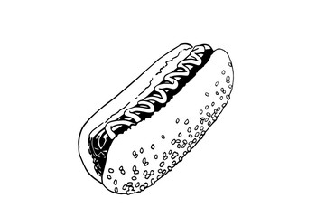 Graphical sketch of hot dog isolated on white background, vector illustration for printing and coloring, fast food