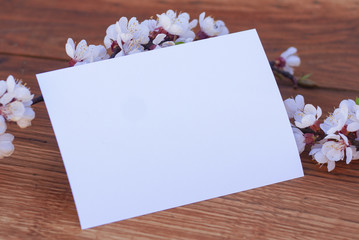 Realistic Mock up Postal Card with Blossom, on wooden background.