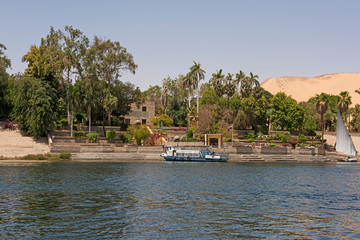 Fototapeta na wymiar Tropical botanical gardens at Aswan in Egypt
