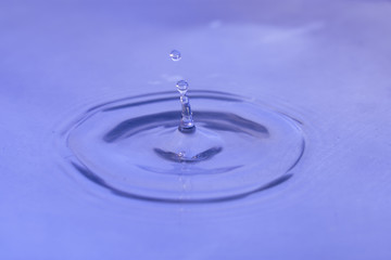 Splashing water drop