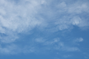 blue sky with white clouds and green trees 