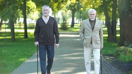 Fototapeta premium Two old upset men walking in park and talking about life, problems in old age