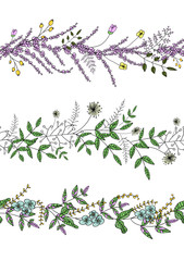 Vector  set of garden plant pattern brushes with stylized lavender, forget-me-not, basil, dandelion. Cute summer or spring templates for wedding, holiday or card design