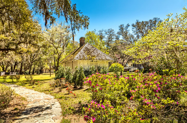 Southern landscape, South Carolina
