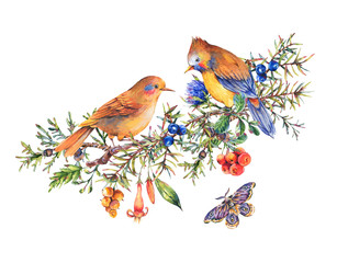 Watercolor vintage floral forest greeting card with pair of birds, fir branches, berries, moth, flowers and branches