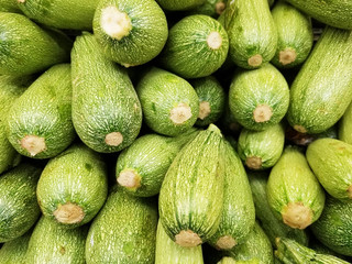 Fresh zucchini, green vegetables on market, freshly harvested courgette, summer squash