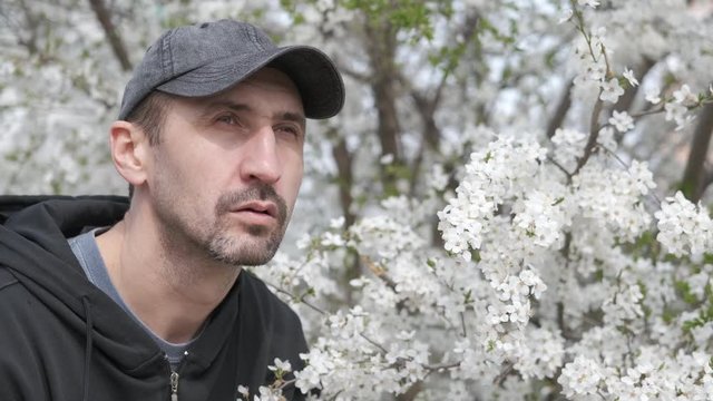 Pollen allergy. A man with a pollen allergy near a cherry blossom tree.