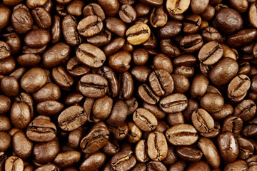 Coffee beans close-up