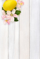 Easter decoration. Pink flowers apple tree and colored easter egg on background of white painted wooden planks with space for text. Top view, flat lay