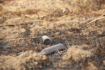 An empty glass charred bottle is lying on grass that has been baked out. Ecological catastrophy. Spring tan green cover. Danger of fire. The destruction of life and pollution. Problems of civilization