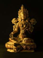 Indian statue bronze with Tara Goddess on black background