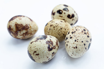 Fototapeta premium quail eggs on white background