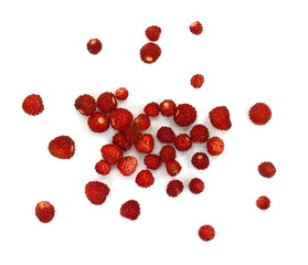 Wild strawberry isolated on white background closeup