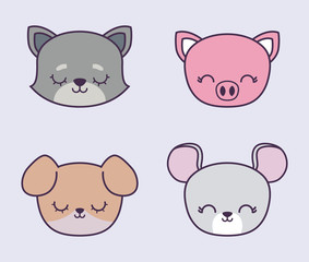 head of cute piggy with group animals
