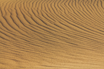Close-up of the shadows of wind marks in the sand of the dunes on the beach