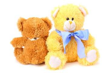 Two toy teddy bears isolated on white background