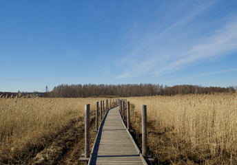 Spring in Lammassaari(Fårholmen)_a recreational island close to Vanhankaupunginkoski rapids near...