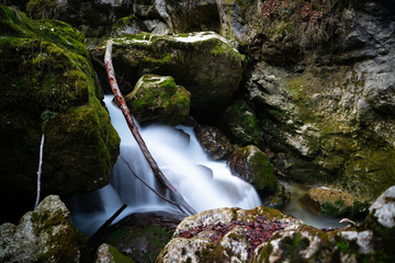 Unendliches Leben des Wassers