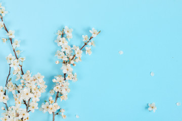 Flowers composition. Spring background with beautiful white flowering branches on pastel blue background. Spring and holiday concept. Flat lay, top view, copy space