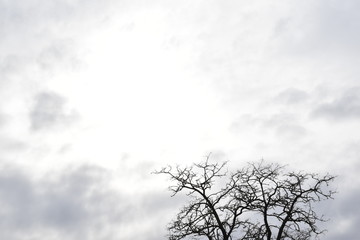 Fototapeta na wymiar Overcast sky with sun