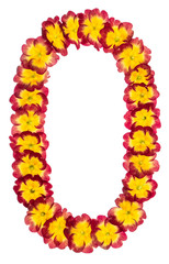 Numeral 0, zero, from natural flowers of primula, isolated on white background