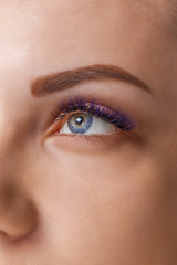 Fototapeta premium Eyelash Extension Procedure. Woman Eye with Long Blue Eyelashes. Ombre effect. Close up, selective focus.