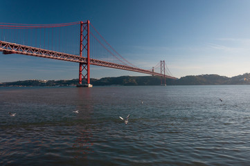 View of the 25 of April Bridge (Ponde 25 de Abril) with seagulls flying over the Tagus River.