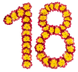 Numeral 18, eighteen,  from natural flowers of primula, isolated on white background