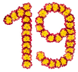 Numeral  19, nineteen, from natural flowers of primula, isolated on white background