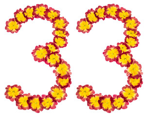 Numeral 33, thirty three, from natural flowers of primula, isolated on white background