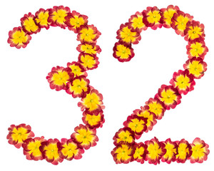 Numeral 32, thirty two, from natural flowers of primula, isolated on white background