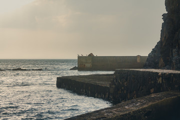 Seagulls on a concrete wall in a small fishing port