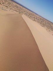 Fototapeta na wymiar Dunas de arena, gran desierto de altar Sonora 