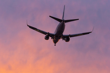 pink sunset plane landing