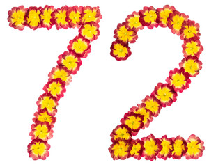 Numeral 72, seventy two, from natural flowers of primula, isolated on white background